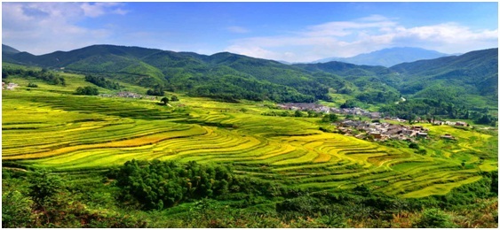 探索防雷产业链资源整合,打造新型防雷产业链生态圈